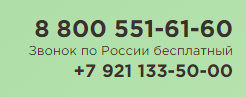 Кейс Webest - Грядки России 10